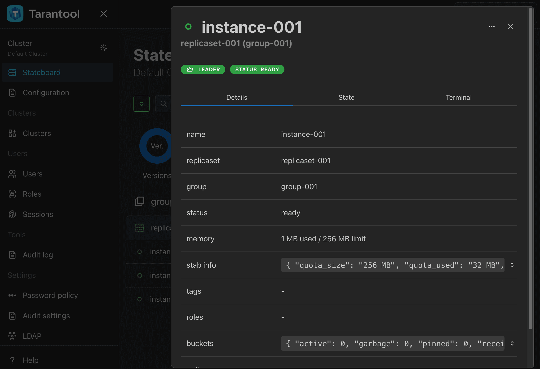Instance details in TCM
